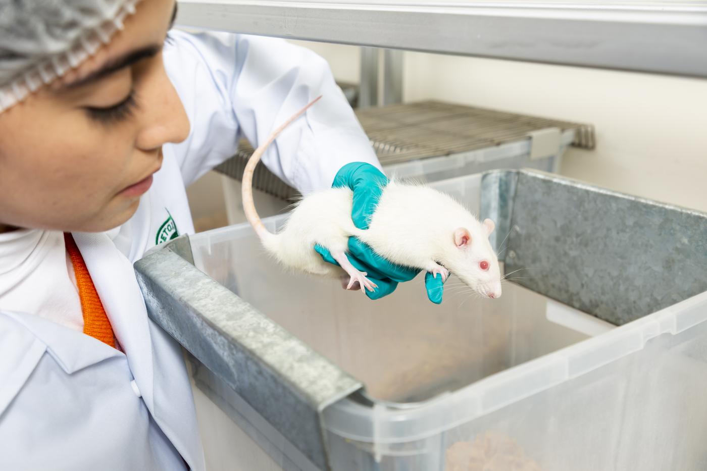 Manejo de sistema de ensayo en el laboratorio de biología de CETOX LAB