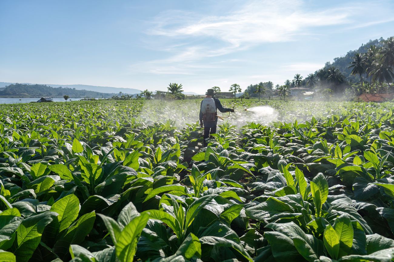 Análisis para agricultura y alimentos